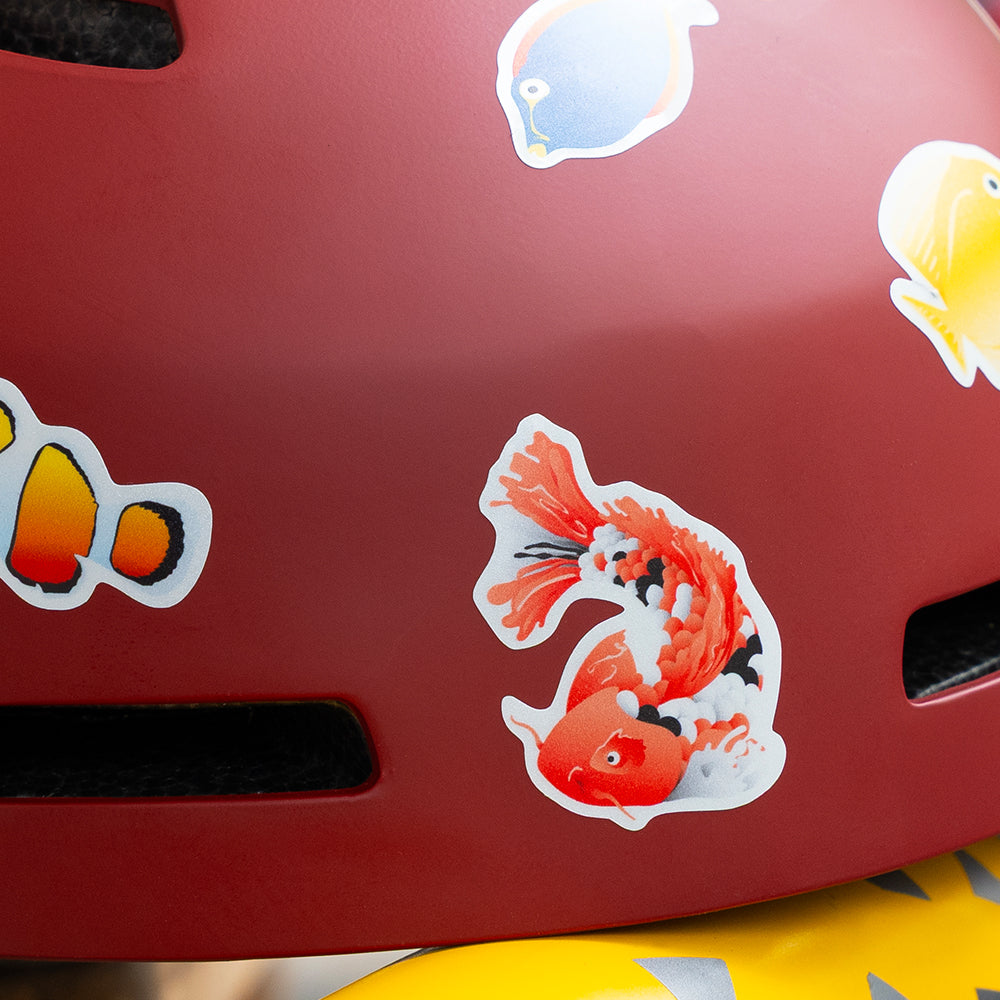 aquarium reflective set with detail picture