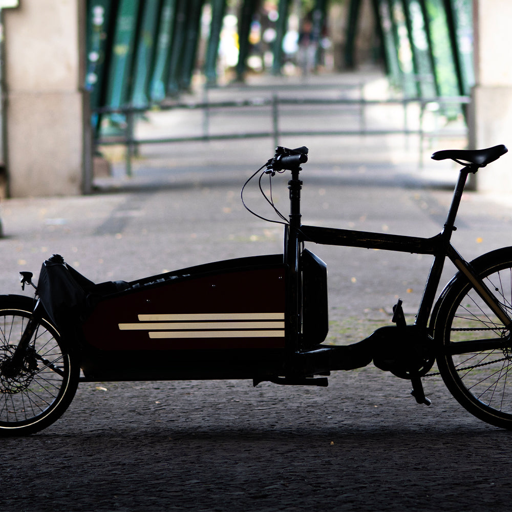 cargo bicycle under the bridge