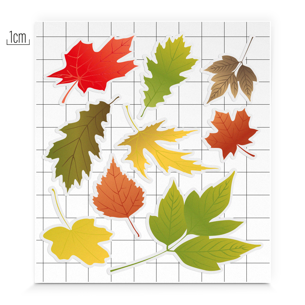 Reflective diversity set, show product with measurements