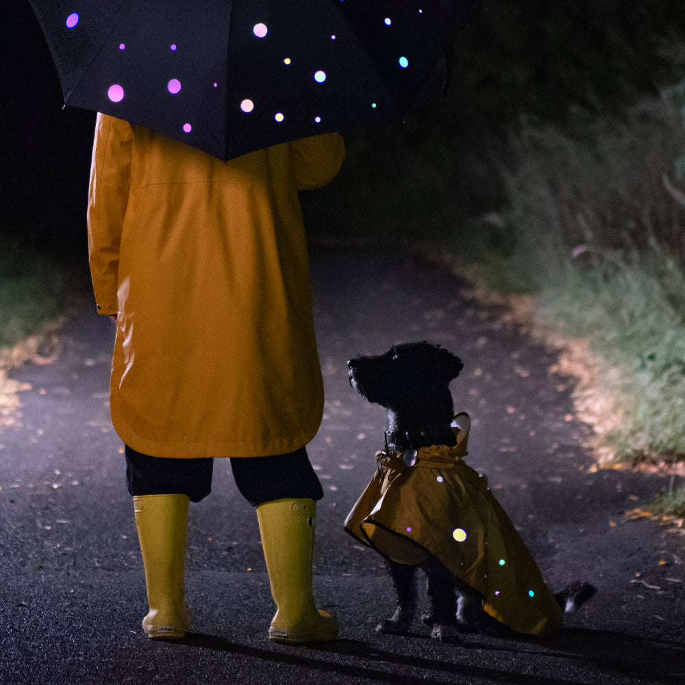 woman with dog in countryside road wearing rain gear and reflective sticckers 